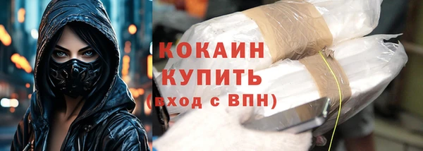 стафф Алзамай