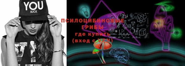 индика Лабытнанги