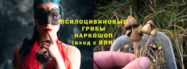 стафф Алзамай