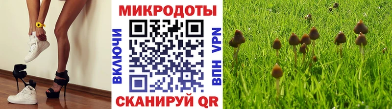 Галлюциногенные грибы MAGIC MUSHROOMS Полевской