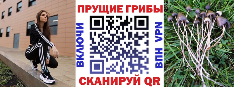 дарк нет клад  Полевской  Галлюциногенные грибы мухоморы 